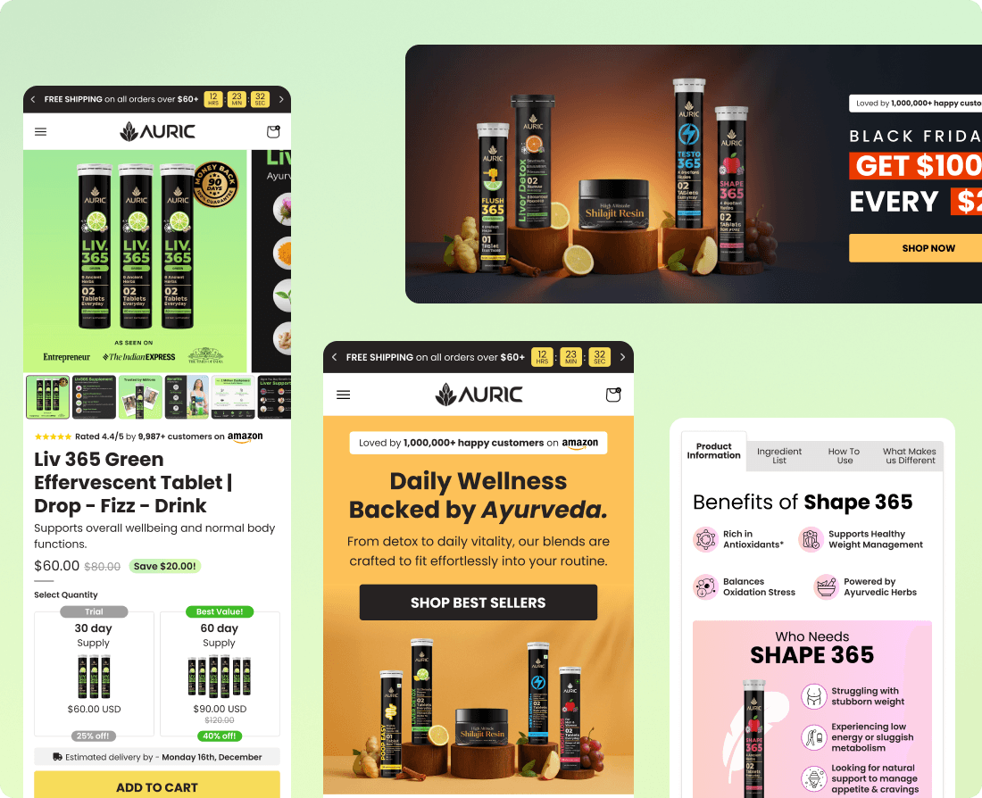 AURIC case study